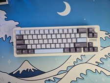 Muted + Thocky Epomaker Galaxy68 | Custom Modded 65% Wireless/Wired Keyboard picture