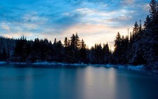 Landscape forest winter nature water pine trees frozen Custom Gaming Mat Desk picture